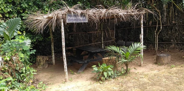 Option d'excursion à Limbé ou Ebogo avant le départ final du Cameroun