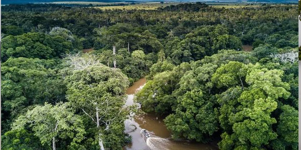 Kribi et route vers Campo