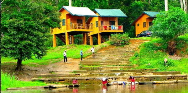 Rivière Nyong et forêt luxuriante près du village d'Ebogo, Cameroun