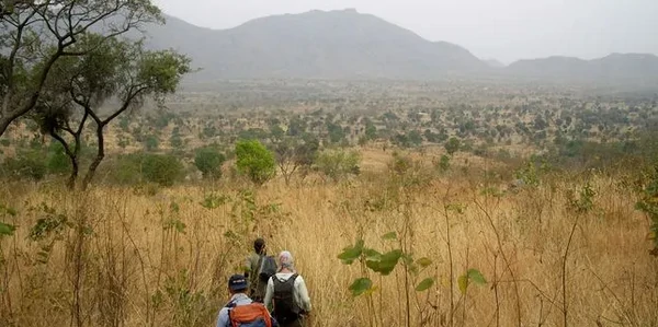 Paysage montagneux des Monts Alantika, région de Poli, Nord Cameroun