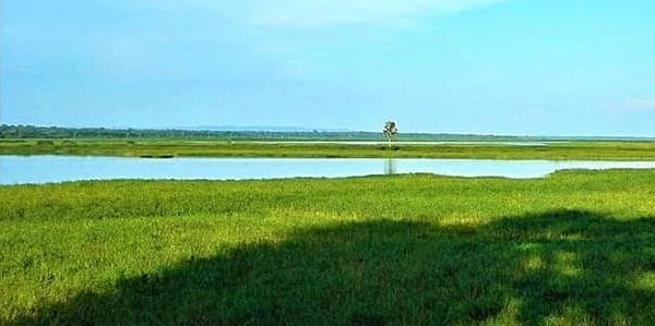 Tibati