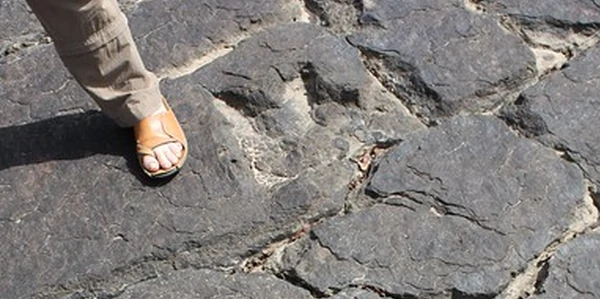 Traces de dinosaures
