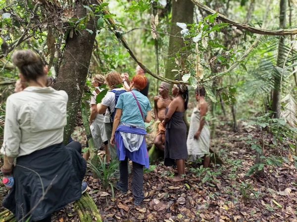 Campement Pygmée Baka dans la Réserve du Dja, immersion culturelle
