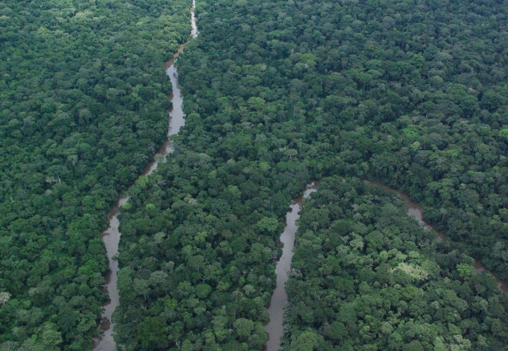 Forêt équatoriale dense du bassin du Congo avec une rivière sinueuse